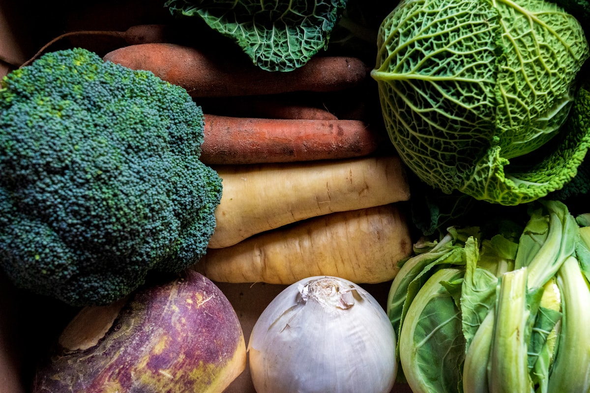 Plan de nutrición para mejorar la salud digestiva